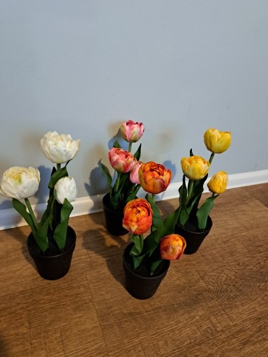 Zdjęcie oferty: Tulipany w doniczce wielkanoc wiosna
