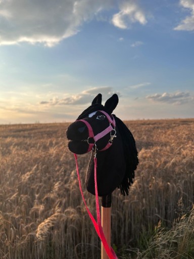 Zdjęcie oferty: Hobby horse A5 z ogłowiem i uwiązem