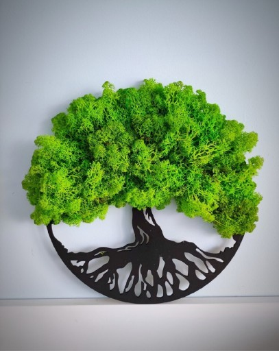 Zdjęcie oferty: Drzewo bonsai mech chrobotek 60 cm