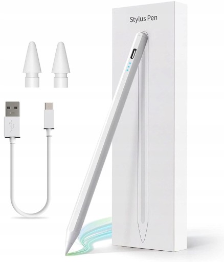 Zdjęcie oferty: RYSIK STYLUS PEN do APPLE IPAD AIR / PRO GEN 2