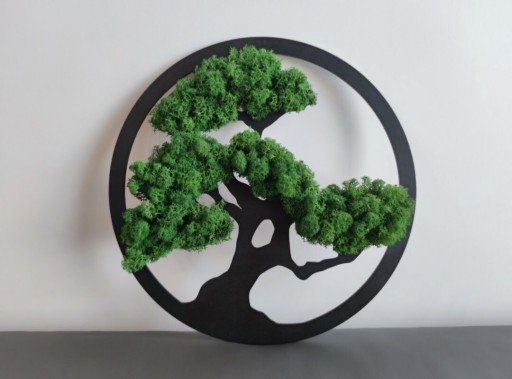 Zdjęcie oferty: Drzewko bonsai mech chrobotek