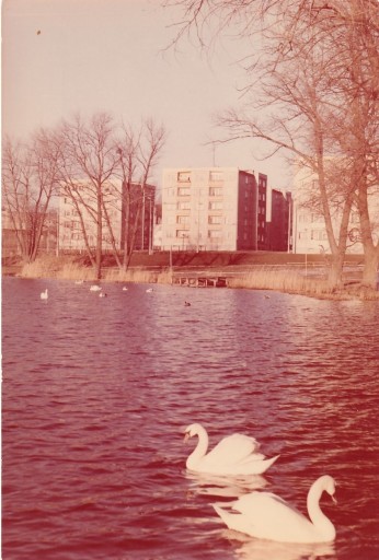 Zdjęcie oferty: Sztum. Osiedle mieszkaniowe. 1978 r.