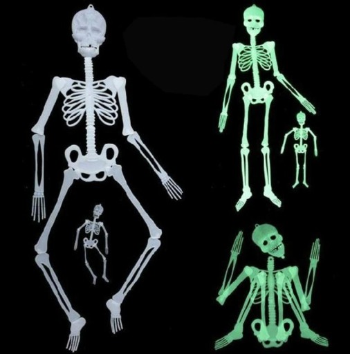 Zdjęcie oferty: Halloween Święcący szkielet