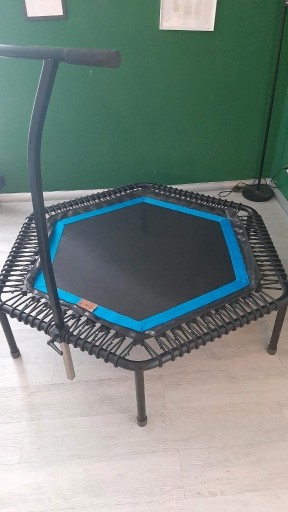 Zdjęcie oferty: Trampoliny Bellicon 125 cm z uchwytem