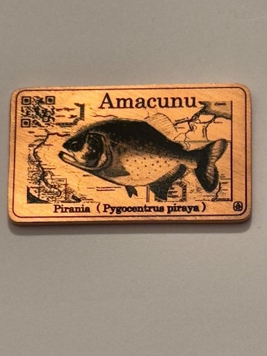 Zdjęcie oferty: Pirania. Ryby Amazonki. Miedź 41 X 24 mm. 2016 Gyges