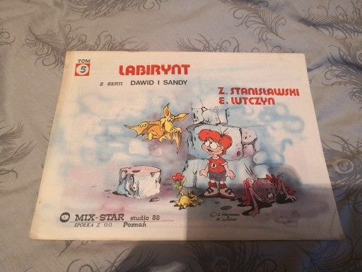 Zdjęcie oferty: Labirynt z serii Dawid i Sandy - Lutczyn - Tom 5