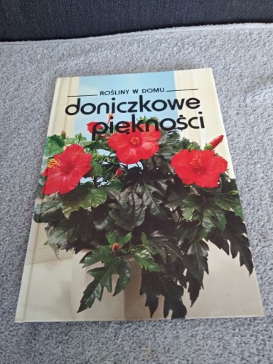 Zdjęcie oferty: Doniczkowe piękności