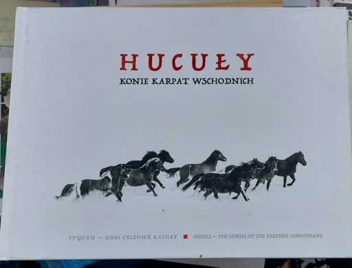 Zdjęcie oferty: Hucuły Konie Karpat Wschodnich