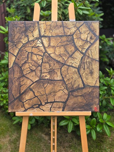 Zdjęcie oferty: Obraz strukturalny, "Popękana ziemia pustyni"