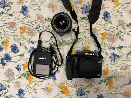 Zdjęcie oferty: Canon EOS 500D (24992 zdjęcia)