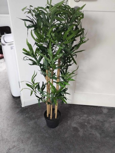 Zdjęcie oferty: Sztuczna roślina Bambus 100 cm jak prawdziwy
