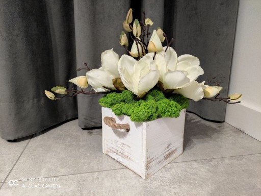 Zdjęcie oferty: Kompozycja: Magnolia, Mech Chrobotek, osłonka 13cm