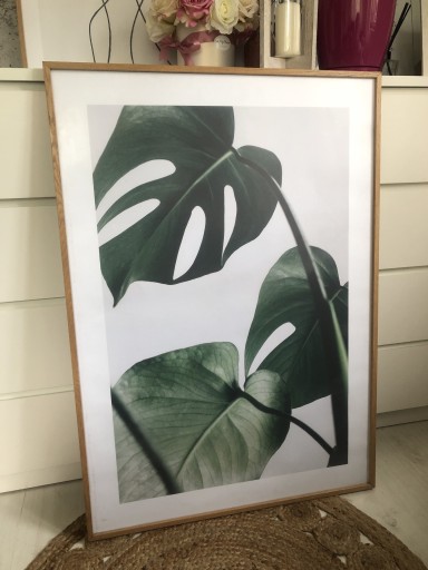 Zdjęcie oferty: Ogromny obrazplakat 70x100 drewniana rama monstera