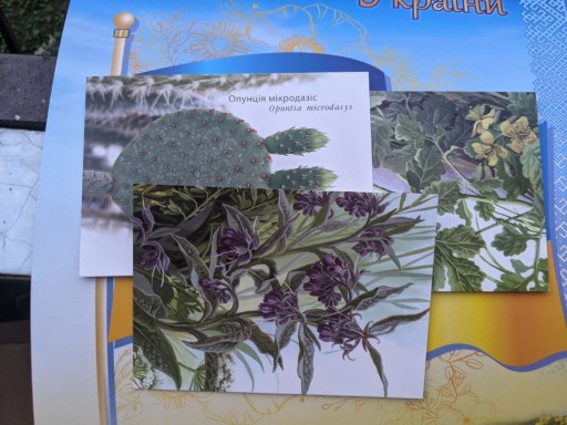 Zdjęcie oferty:  komplet 3 pocztowek  Rośliny lecznicze Ukrainy