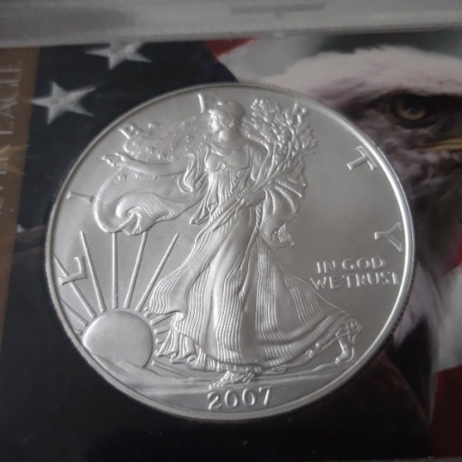 Zdjęcie oferty: Srebrna moneta American Eagle 2007 w slabie igła!