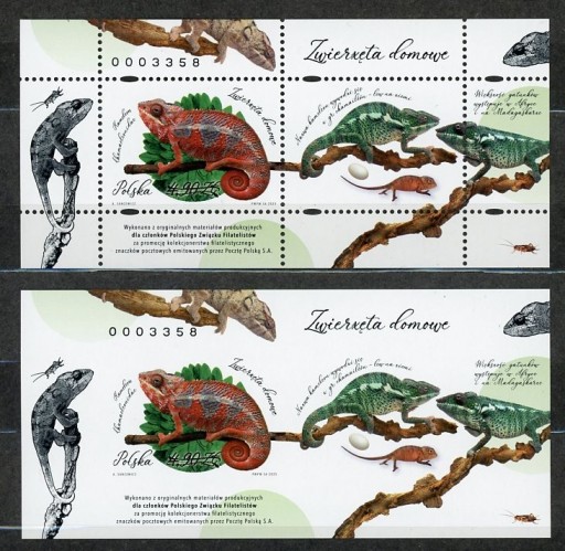 Zdjęcie oferty: Fi 5462 ** Zwierzęta domowe- kameleon Nd A i B - NOWODRUK 2025