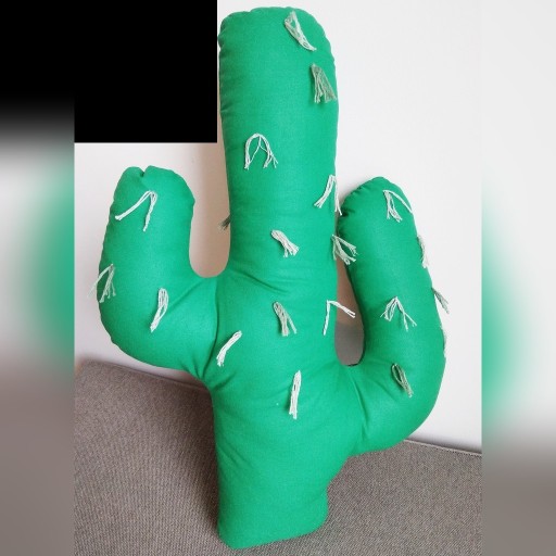 Zdjęcie oferty: Poduszka kaktus frędzle