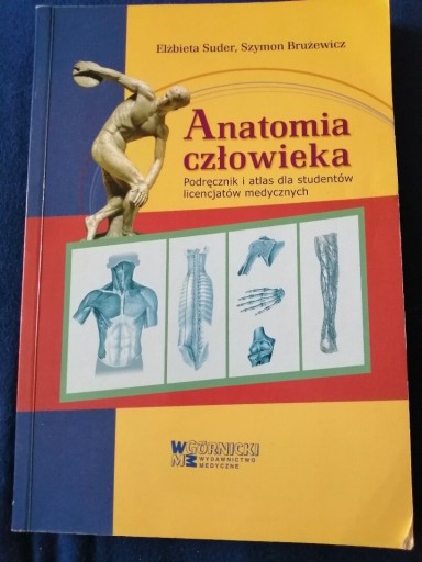 Zdjęcie oferty: Anatomia człowieka 