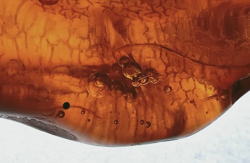 Zdjęcie oferty: Piękny bursztyn bałtycki z pęcherzykami powietrza 