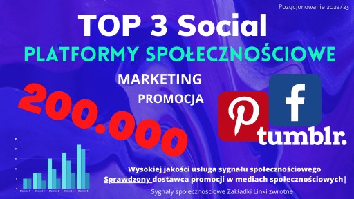 Zdjęcie oferty: 200.000 sygnały  Pinterest,Tumblr,Facebook