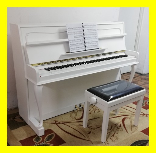 Zdjęcie oferty: Pianino Calisia Chippendail + Bonusy