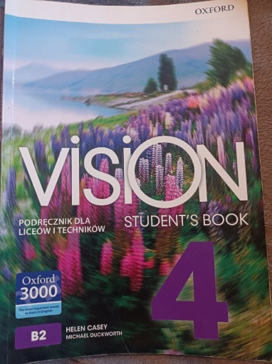 Zdjęcie oferty: Vision 4 - Podręcznik