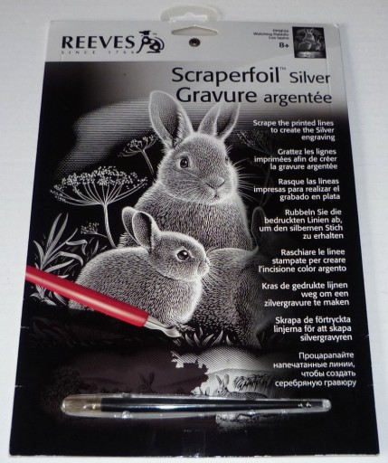 Zdjęcie oferty: REEVES Engraving Scraperfoil zdrapka artystyczna 