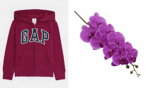 Zdjęcie oferty: GAP bluza z kapturem w kolorze orchidei 8 9 lat