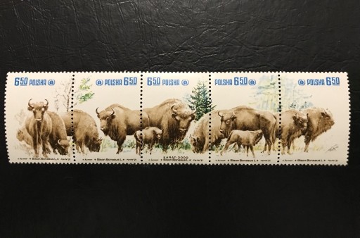 Zdjęcie oferty: ZNACZEK Restytucja Żubra 1981 Bison Bonasus