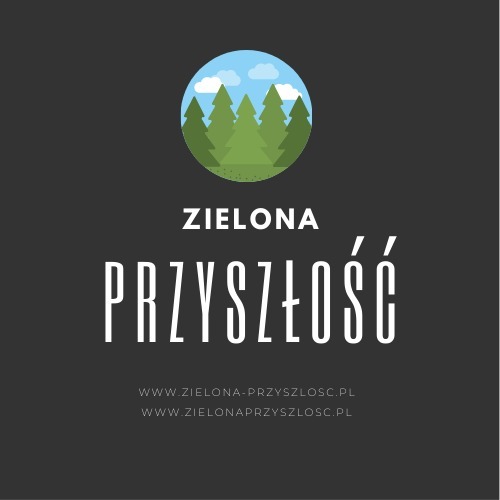 Zdjęcie oferty: Domena www.zielona-przyszlosc.pl