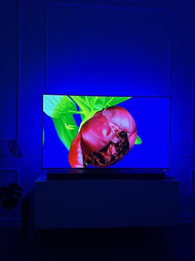 Zdjęcie oferty: Telewizor LG OLED 55BX