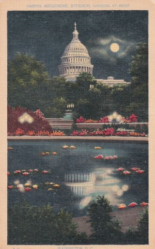 Zdjęcie oferty: USA. Stara pocztówka.