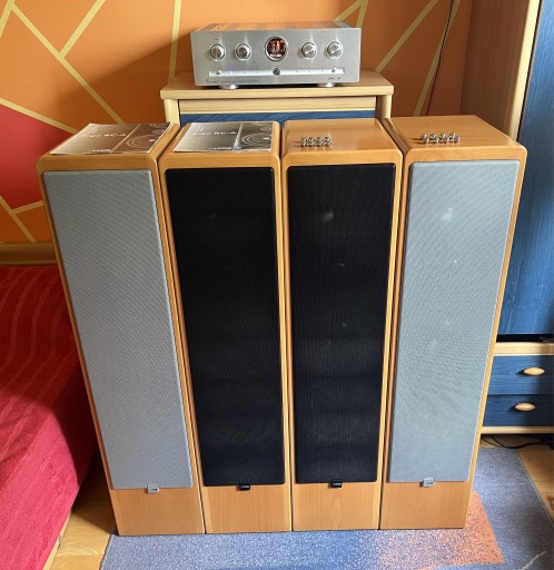 Zdjęcie oferty: Kolumny podłogowe Canton Ergo RC-A aktywne flagowy model