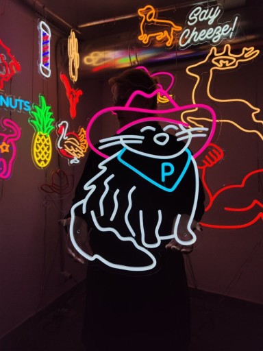 Zdjęcie oferty: Kot w kowbojskim kapeluszu Neon LED Na Ścianę