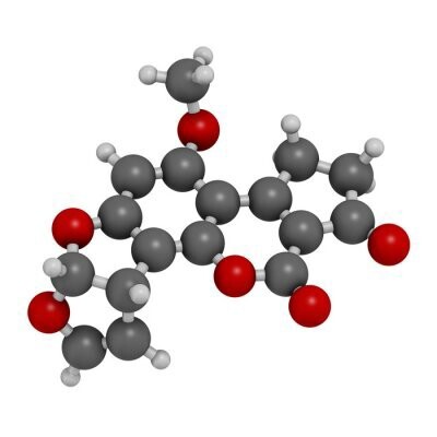 Zdjęcie oferty: Kigelia ekstrakt 99% 1,5 dmha 10g