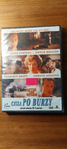 Zdjęcie oferty: FILM DVD "CISZA PO BURZY"