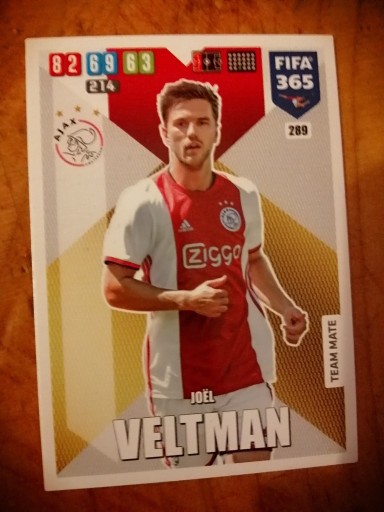 Zdjęcie oferty: karty panini fifa 365 2020 Joel Veltman