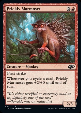 Zdjęcie oferty: Prickly Marmoset