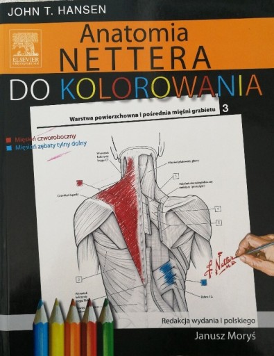 Zdjęcie oferty: Anatomia NETTERA do kolorowania