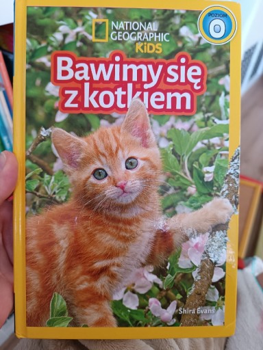 Zdjęcie oferty: Książka Bawimy się z kotkiem