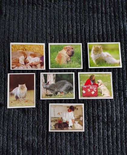 Zdjęcie oferty: Naklejki Panini zwierzęta Pets Animals how to 1989