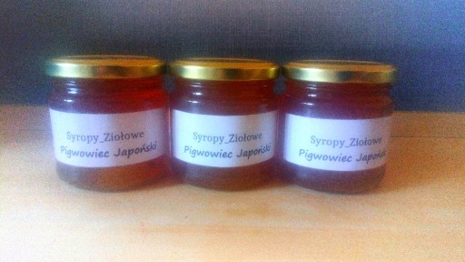 Zdjęcie oferty: Syrop z Pigwowca PSZ, Vit C, 3x200ml