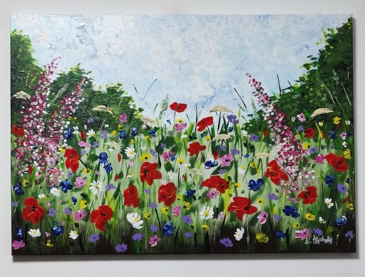 Zdjęcie oferty: Obraz ŁĄKA 70 x 100 cm 