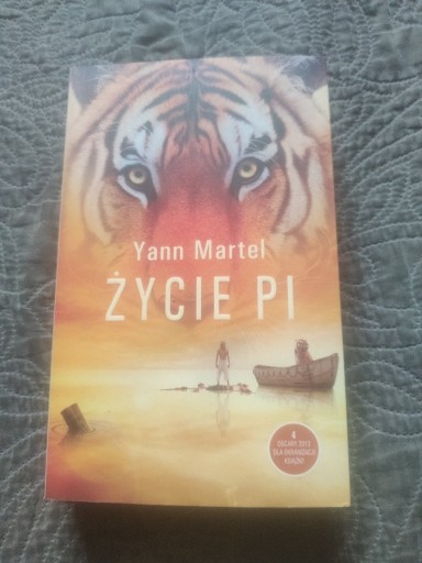 Zdjęcie oferty: Yann Martel - Życie Pi