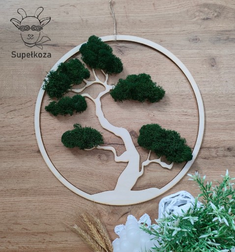 Zdjęcie oferty: Drzewko bonsai z chrobotkiem na obręczy 30cm mech