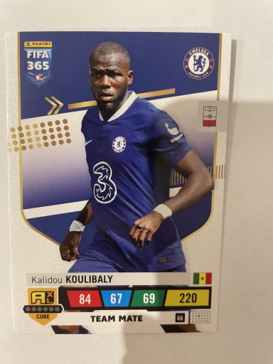 Zdjęcie oferty: PANINI FIFA 365 2023 Team Mate Koulibaly 66