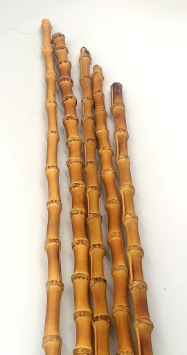 Zdjęcie oferty: Korzeń bambusa do wyrobu fajek!