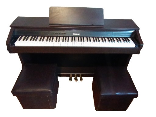 Zdjęcie oferty: pianino cyfrowe Casio celviano AP-260 BN