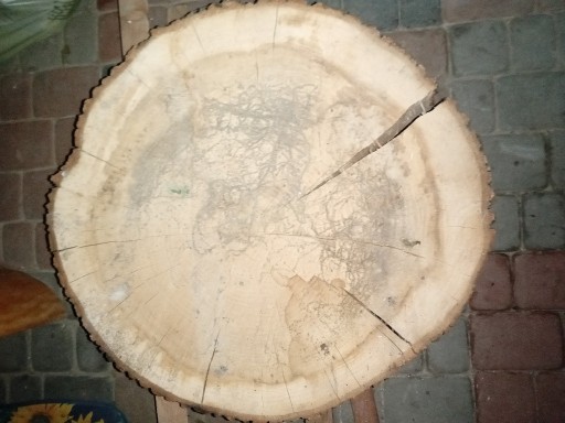 Zdjęcie oferty: Plaster drewna dębu na stolik - średnica 70 cm