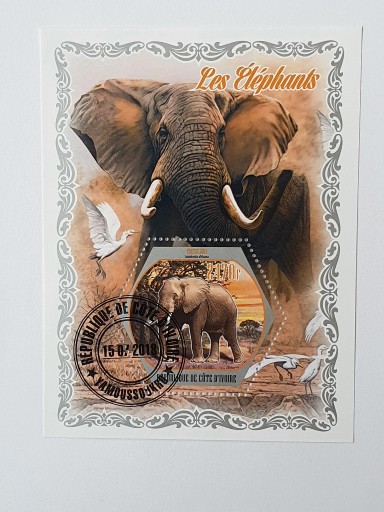 Zdjęcie oferty: (1646) blok słonie 